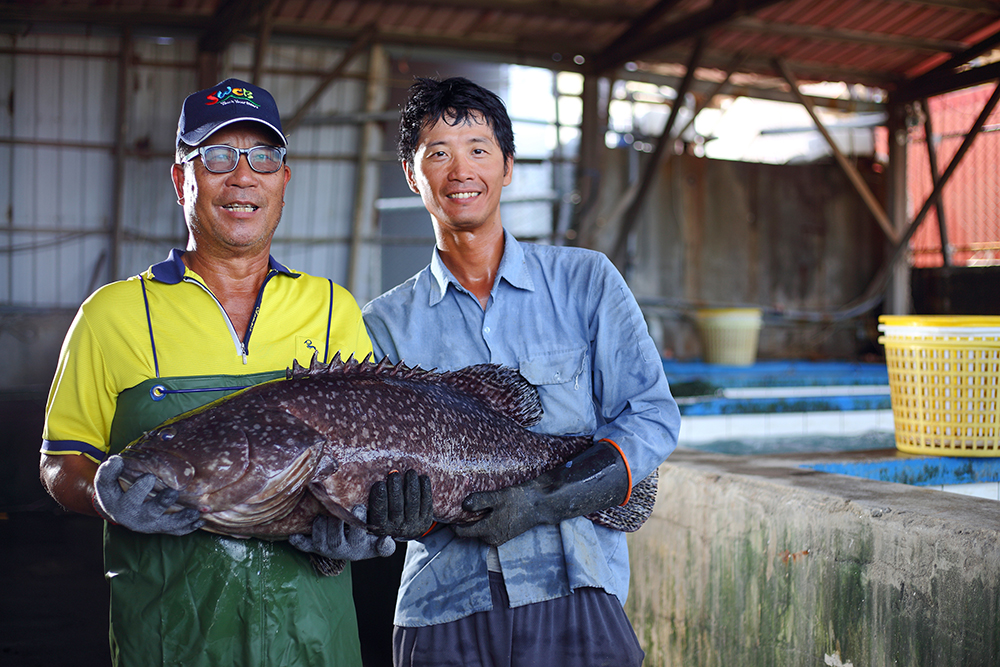 石斑魚產銷班第8班班長蘇國禎（左）、蘇班長兒子蘇韋鴻（右），擁有豐富石斑養殖經驗，2016年女兒蘇郁暄回鄉，共同打造「蘇班長安心石斑」品牌。(圖片提供/新港社合)