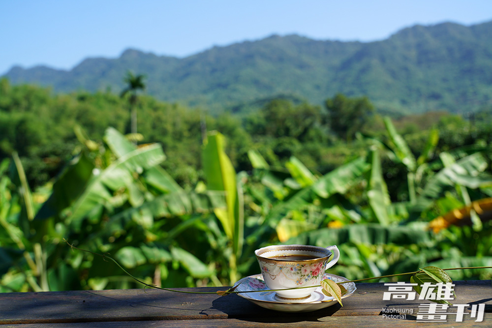 綠意擁簇、微風輕拂，品嚐一杯帶龍眼香的手沖咖啡，將忙碌的都市生活拋在腦後。(攝影/Cindy Lee)