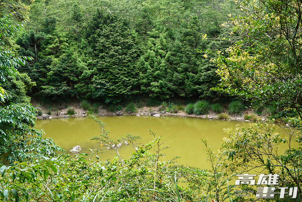 杉木林圍繞天池座落在群山之巔，湖水終年不涸、平靜如畫，湖形因似心臟而有「心湖」之稱。(攝影/Cindy Lee)