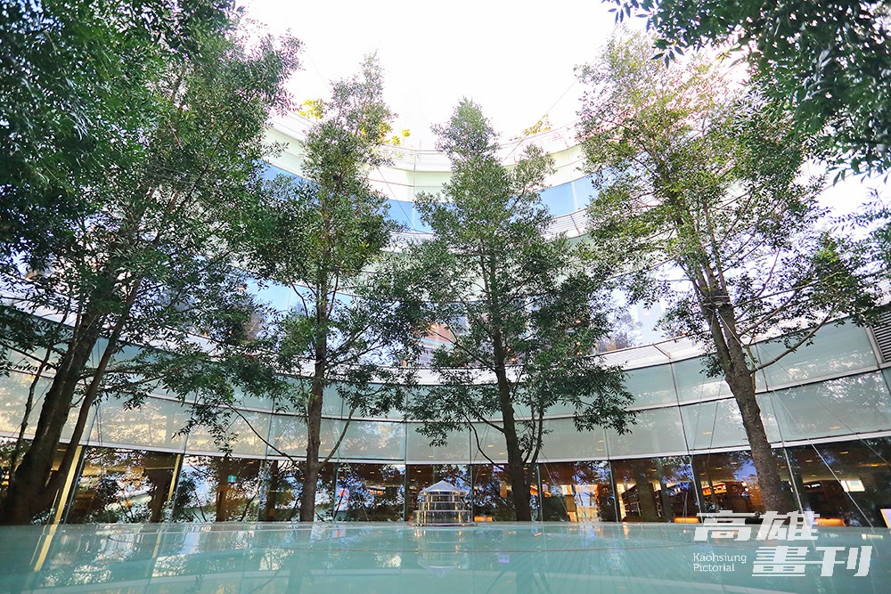 以懸吊式綠建築打造的高雄市立圖書館,「館中有樹、樹中有館」是許多市民的私房景點。(攝影/Carter) 以懸吊式綠建築打造的高雄市立圖書館,「館中有樹、樹中有館」是許多市民的私房景點。(攝影/Carter)