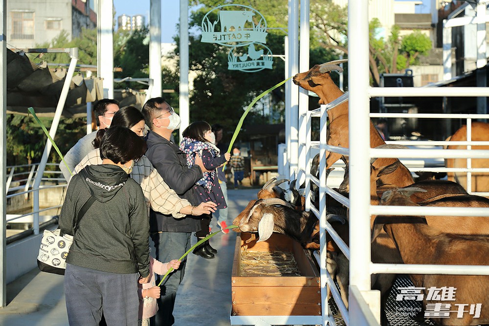 購票入場之後，可以拿著一支牧草和小包飼料去餵食小動物。(攝影/Carter)