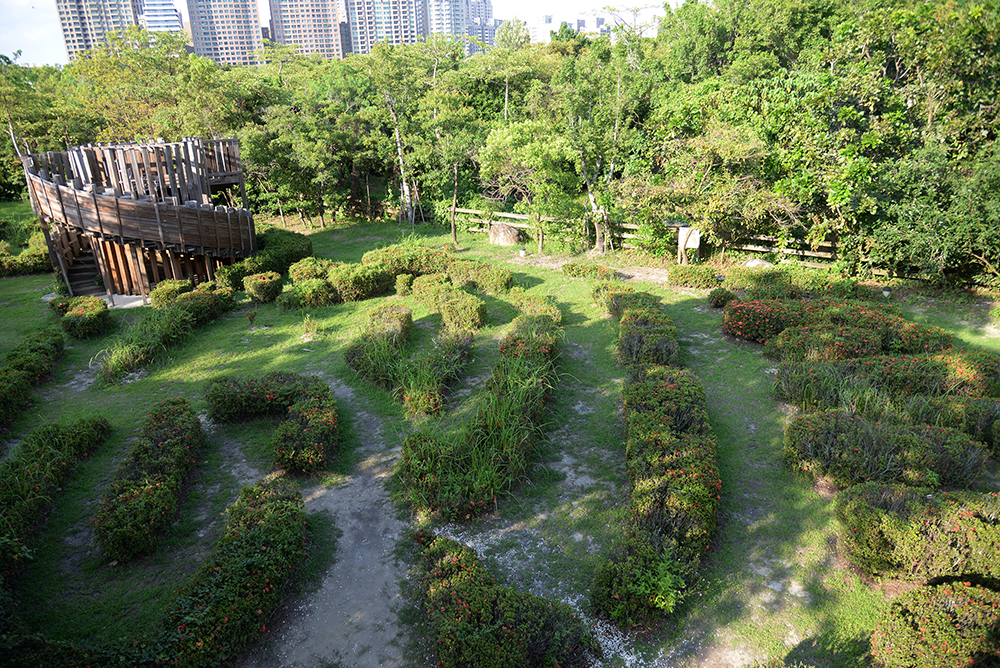 濃密的城市森林迷宮。 濃密的城市森林迷宮。