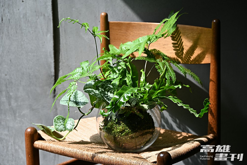 「苜一」設計的苔球屬於新手友善級別，以碎石鋪底，一方面讓植物的根呼吸，一方面作為澆水的基準線，就算是「黑手指」也能重拾成就感。(攝影/Carter)